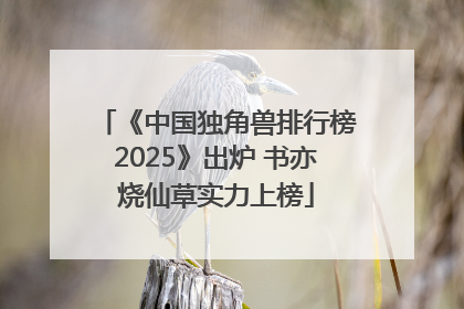 《中国独角兽排行榜2025》出炉 书亦烧仙草实力上榜