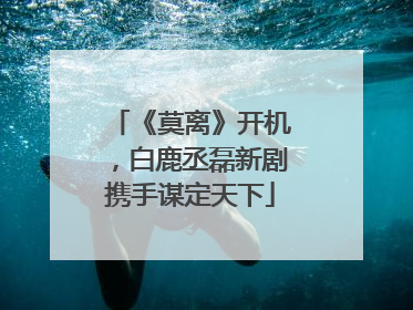 《莫离》开机，白鹿丞磊新剧携手谋定天下