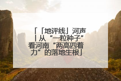 「地评线」河声丨从“一粒种子”看河南“两高四着力”的落地生根