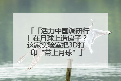 「活力中国调研行」在月球上造房子？这家实验室把3D打印“带上月球”