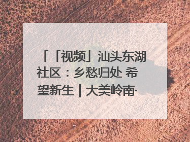 「视频」汕头东湖社区：乡愁归处 希望新生｜大美岭南·百村焕新记