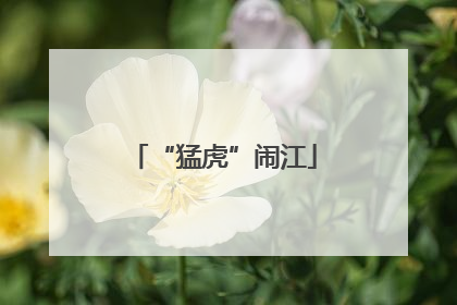 “猛虎”闹江
