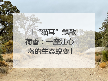 “猫耳”飘散荷香：一座江心岛的生态蜕变