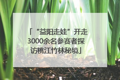 “益阳走娃”开走 3000余名参赛者探访桃江竹林秘境