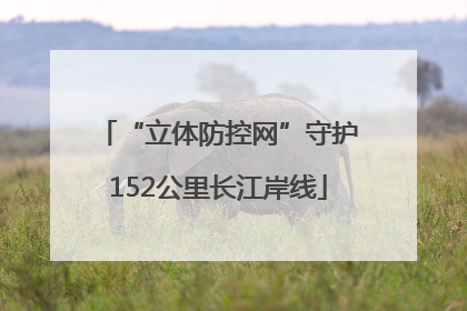 “立体防控网”守护152公里长江岸线