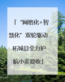 “网格化+智慧化”双轮驱动 柘城县全力护航小麦夏收