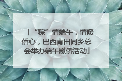“粽”情端午，情暖侨心，巴西青田同乡总会举办端午慰侨活动