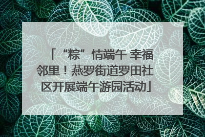 “粽”情端午 幸福邻里！燕罗街道罗田社区开展端午游园活动
