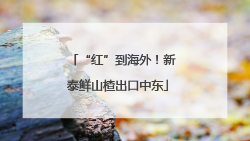 “红”到海外！新泰鲜山楂出口中东