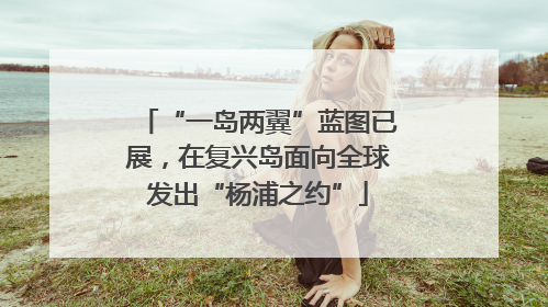 “一岛两翼”蓝图已展，在复兴岛面向全球发出“杨浦之约”