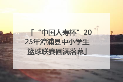 “中国人寿杯”2025年漳浦县中小学生篮球联赛圆满落幕