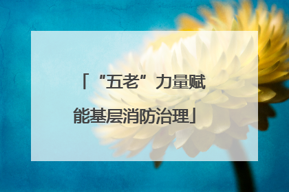“五老”力量赋能基层消防治理