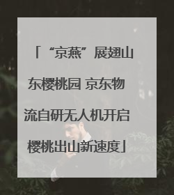 “京燕”展翅山东樱桃园 京东物流自研无人机开启樱桃出山新速度