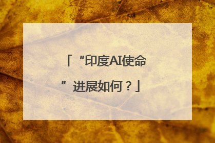 “印度AI使命”进展如何？