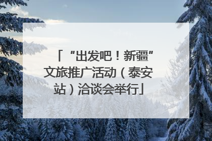 “出发吧！新疆”文旅推广活动（泰安站）洽谈会举行