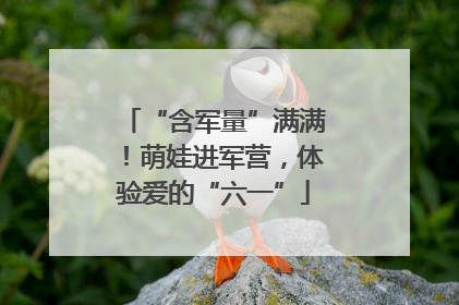 “含军量”满满！萌娃进军营，体验爱的“六一”