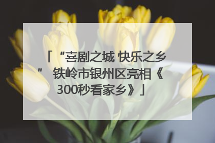 “喜剧之城 快乐之乡” 铁岭市银州区亮相《300秒看家乡》