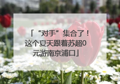 “对手”集合了！这个夏天跟着苏超0元游南京浦口