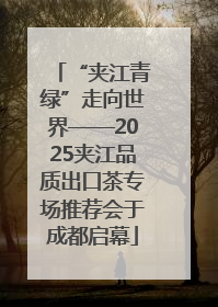 “夹江青绿”走向世界——2025夹江品质出口茶专场推荐会于成都启幕