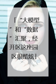 “大模型”和“数据”汇聚，经开区这座园区很酷炫