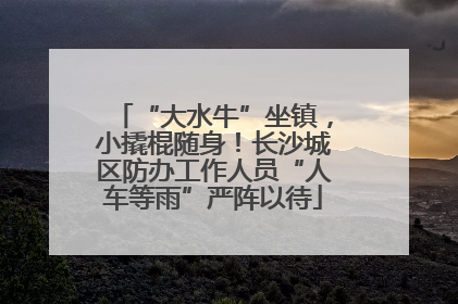 “大水牛”坐镇，小撬棍随身！长沙城区防办工作人员“人车等雨”严阵以待