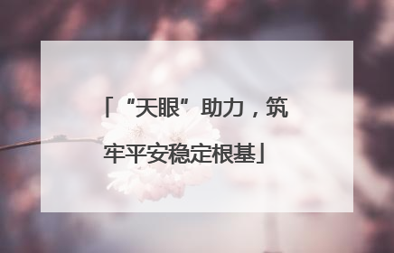“天眼”助力，筑牢平安稳定根基