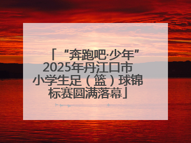 “奔跑吧·少年”2025年丹江口市小学生足（篮）球锦标赛圆满落幕