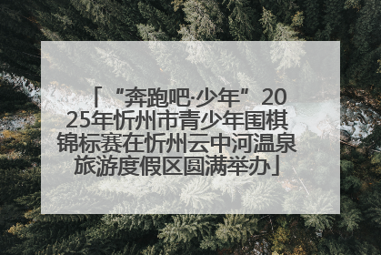 “奔跑吧·少年”2025年忻州市青少年围棋锦标赛在忻州云中河温泉旅游度假区圆满举办