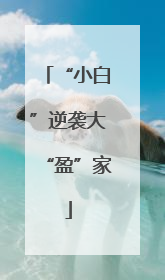 “小白”逆袭大“盈”家