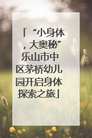 “小身体，大奥秘” 乐山市中区茅桥幼儿园开启身体探索之旅