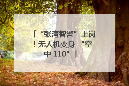“张湾智警”上岗！无人机变身 “空中 110”