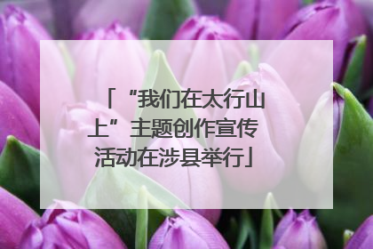 “我们在太行山上”主题创作宣传活动在涉县举行