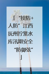 “技防+人防”江西抚州拧紧水库汛期安全“防御弦”