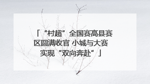 “村超”全国赛高县赛区圆满收官 小城与大赛实现“双向奔赴”