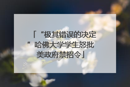 “极其错误的决定”哈佛大学学生怒批美政府禁招令