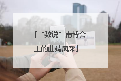 “数说”南博会上的曲靖风采