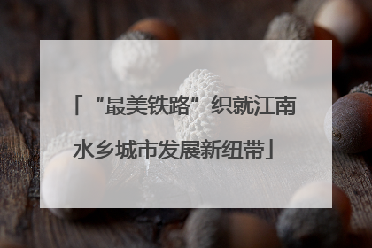 “最美铁路”织就江南水乡城市发展新纽带