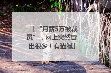 “月薪5万被裁员”，网上突然冒出很多！有猫腻