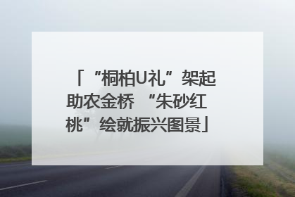 “桐柏U礼”架起助农金桥 “朱砂红桃”绘就振兴图景