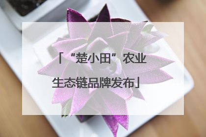 “楚小田”农业生态链品牌发布