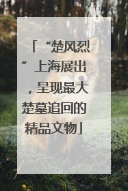 “楚风烈”上海展出，呈现最大楚墓追回的精品文物