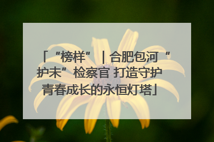 “榜样”｜合肥包河“护未”检察官 打造守护青春成长的永恒灯塔