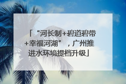 “河长制+碧道碧带+幸福河湖”，广州推进水环境提档升级