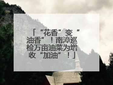 “花香”变“油香”！南漳巡检万亩油菜为增收“加油”！