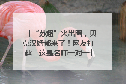 “苏超”火出圈，贝克汉姆都来了！网友打趣：这是名师一对一