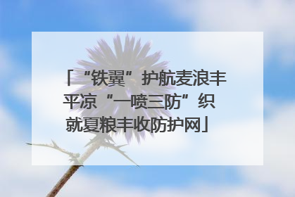 “铁翼”护航麦浪丰 平凉“一喷三防”织就夏粮丰收防护网