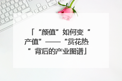 “颜值”如何变“产值”——“赏花热”背后的产业图谱