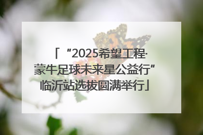 “2025希望工程·蒙牛足球未来星公益行”临沂站选拔圆满举行