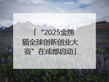 “2025金熊猫全球创新创业大赛”在成都启动