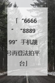 “6666”“888999”手机靓号再登法拍平台